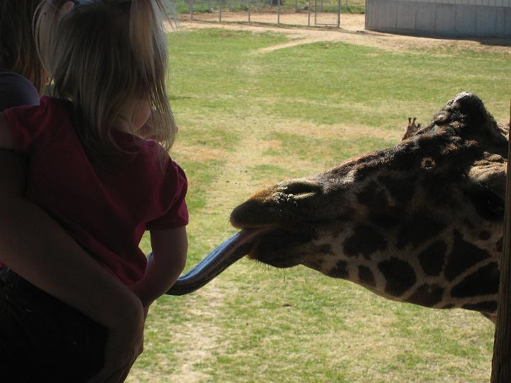 2nd Birthday at the zoo 31.JPG